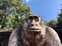 Image result for Go Ape! Alice Holt