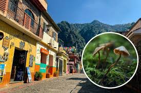 Kuvahaun tulos haulle Tepoztlan