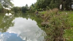 Image result for Warlingham & District Anglers` Society