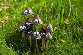 Attēlu rezultāti vaicājumam “Coprinus atramentarius”