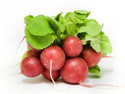 Attēlu rezultāti vaicājumam “Raphanus raphanistrum”