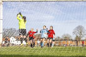 Image result for CAVERSHAM AFC