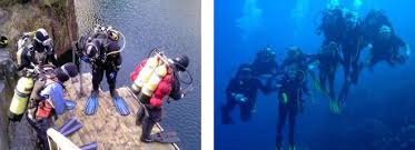 Image result for Guildford British Sub Aqua Club