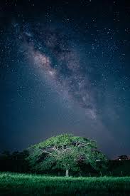 Image result for free wallpaper