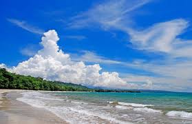 Image result for cahuita costa rica