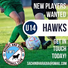 Image result for Oxhey Football Club