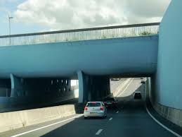 Image result for geeuw