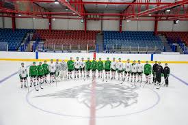 Image result for Basingstoke Bison Ice Hockey Club