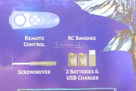 Image result for BARNET and WHETSTONE CHANGQUAN FLYING DRAGON