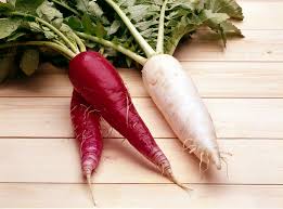 Image result for Rettich