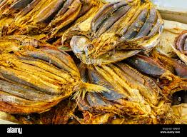 Image result for Katsuwonus pelamis