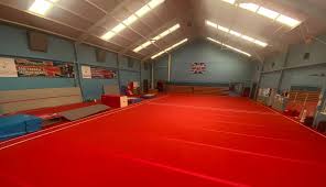 Image result for Southampton Treasure Gymnastics