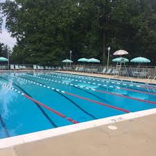 Image result for Mid Beds Swim Squad