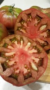 Afbeeldingsresultaat voor black elephant tomato