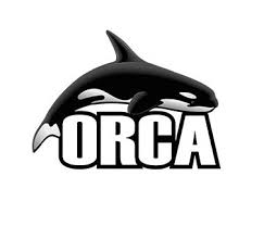 Image result for Ilfracombe Orcas Octopush Club