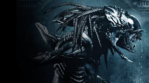 Image result for Alien vs Predator