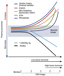 Image result for Peak Performance Ckd, Horley