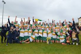 Image result for An Riocht Gaa Club