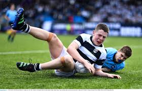 Image result for Belvedere Park Junior Football Club