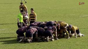 Image result for Old Albanian Rugby Football Club