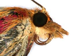 Attēlu rezultāti vaicājumam “Pyrausta purpuralis”