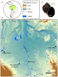 Image result for geoline tehron