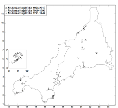 Attēlu rezultāti vaicājumam “Frullania fragilifolia”