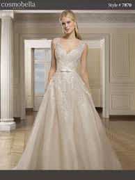 Image result for cosmobella