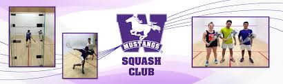 Image result for Wescountry Squash Club
