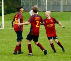 Image result for Hamsey Rangers Fc