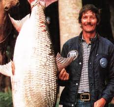 Image result for Goliath Tigerfish