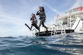 Image result for Dive Solutions, London