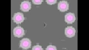 Image result for Lilac Chaser