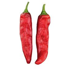 Image result for Paprika