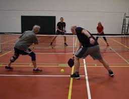 Image result for Evergreens Badminton Club