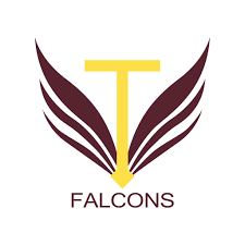 Image result for Normanton Falcons Netball Club