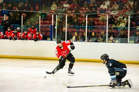 Image result for Basingstoke Buffalo