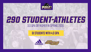 Image result for Spring View Community Sports Association