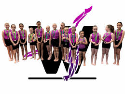 Image result for Weston Aerobic Gymnastics Club