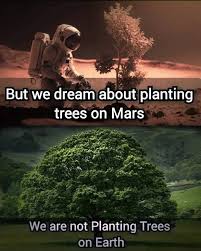 Image result for mars trees