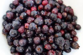 Attēlu rezultāti vaicājumam “Amelanchier spicata fruit”