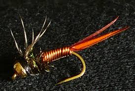 Image result for Dulverton Angling Association