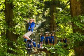 Image result for Go Ape! Moors Valley