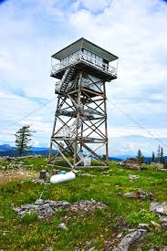 Attēlu rezultāti vaicājumam “Tubifera montana”