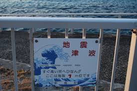 Image result for 高潮 津波 別物