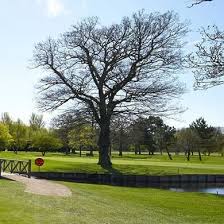 Image result for Old Fold Manor Golf Club Ltd