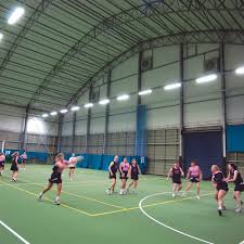 Image result for Gateshead Netball Club