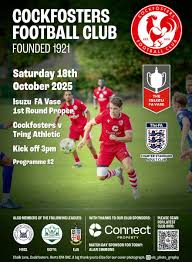 Image result for Cockfosters Football Club