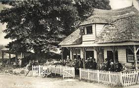 Image result for Chard Cricket Club