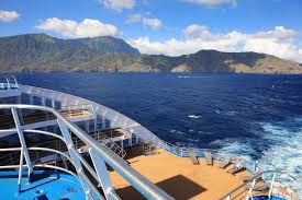 Attēlu rezultāti vaicājumam “Aranei exuvia”